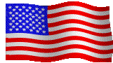 G-USFlag.gif (33395 bytes)